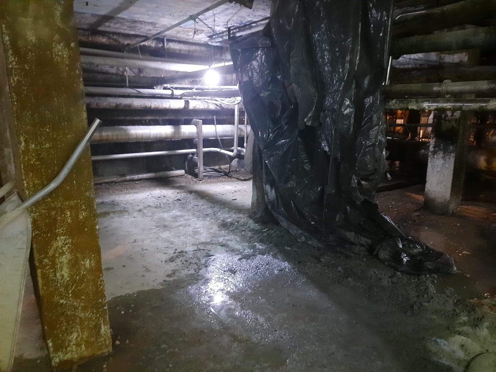 WhatsApp Image 2023-01-17 at 11.57.10 (2).jpeg