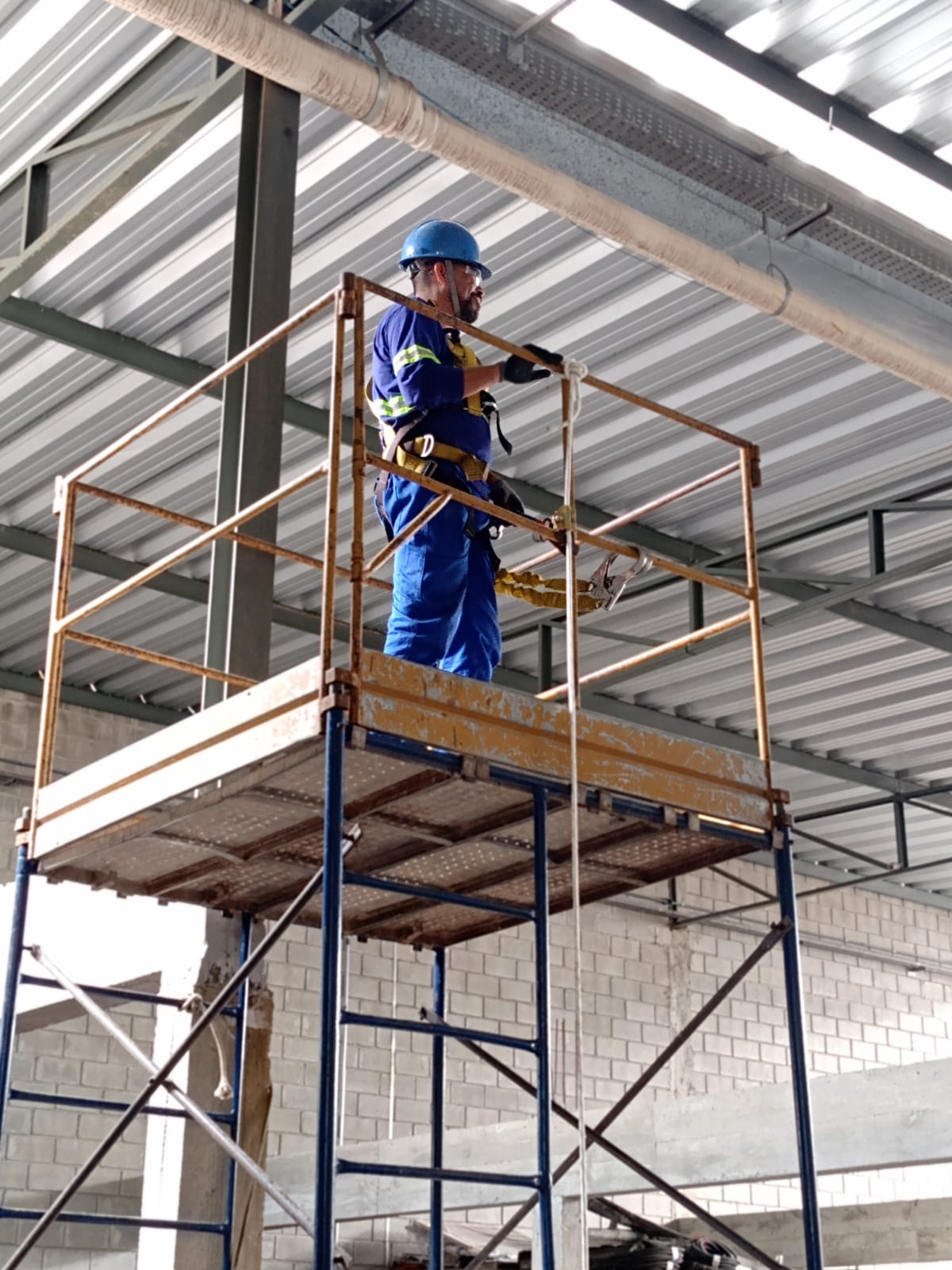 WhatsApp Image 2023-02-10 at 16.56.35.jpeg