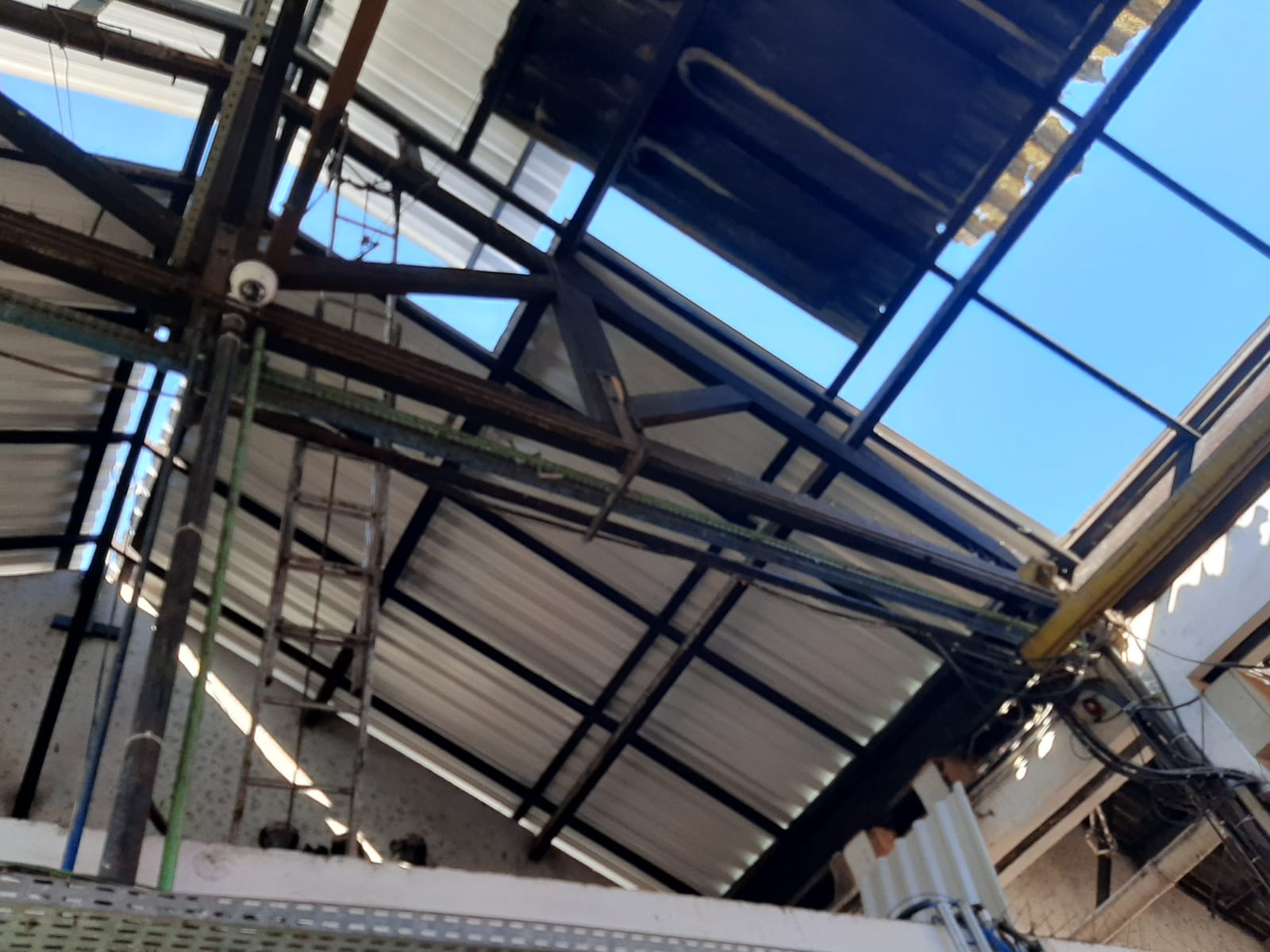 WhatsApp Image 2023-06-16 at 15.36.11 (4).jpeg