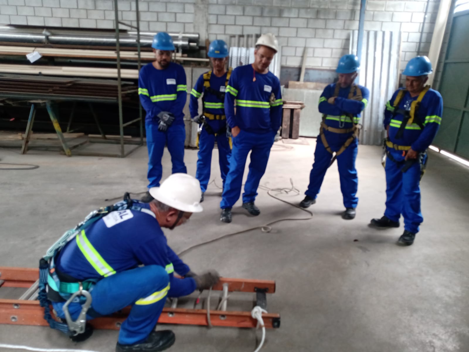 WhatsApp Image 2023-02-10 at 16.56.30.jpeg