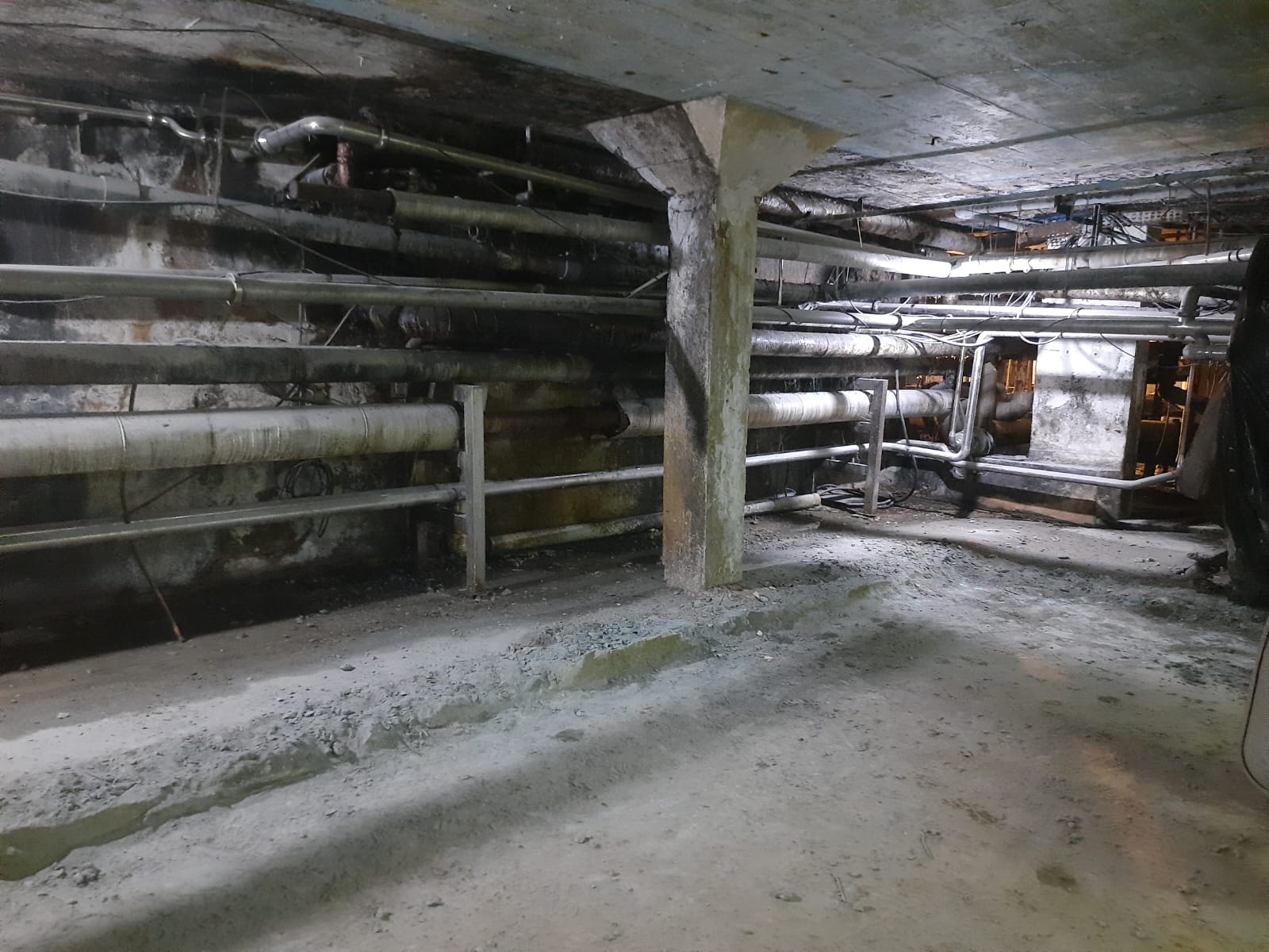 WhatsApp Image 2023-01-17 at 11.57.11.jpeg