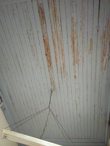 WhatsApp Image 2021-08-12 at 09.44.08.jpeg