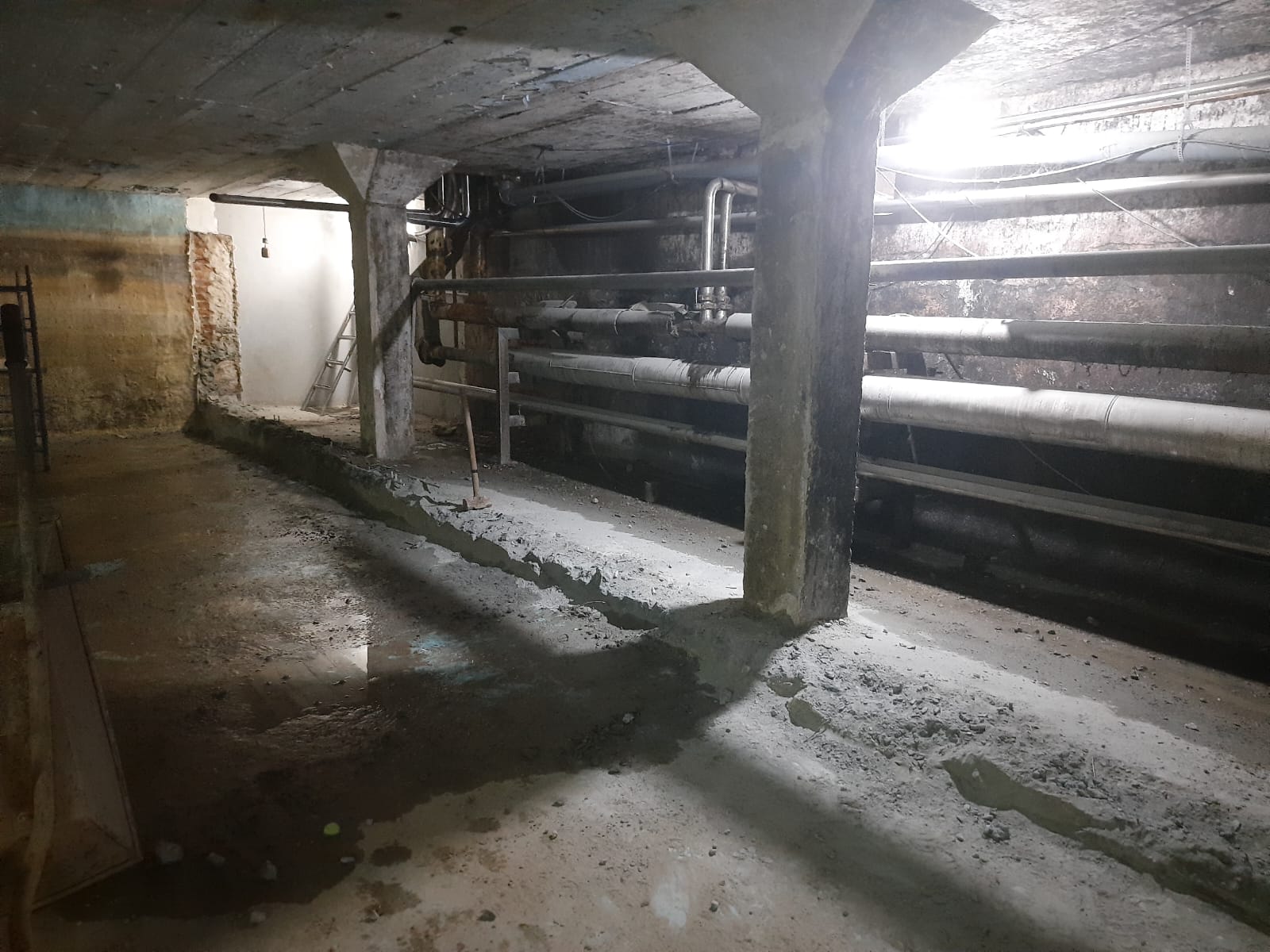 WhatsApp Image 2023-01-17 at 11.57.11 (1).jpeg