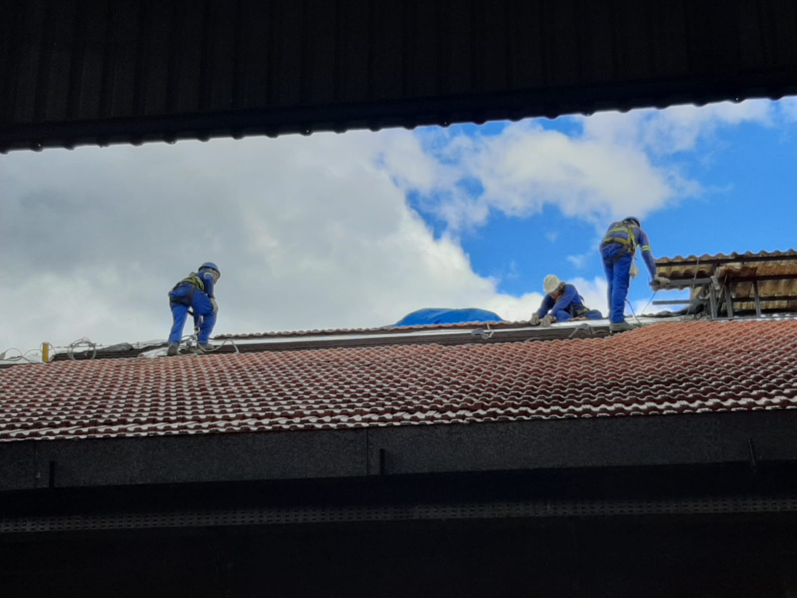 WhatsApp Image 2023-01-17 at 11.43.32.jpeg